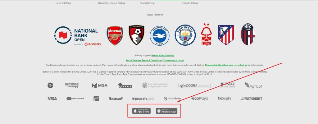 اپلکیشن بت وی
