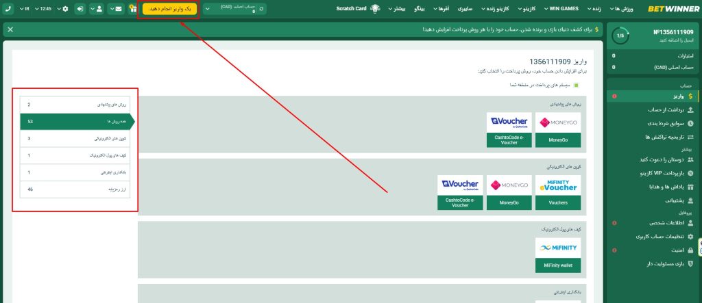 روش‌ های واریز و برداشت در بت وینر